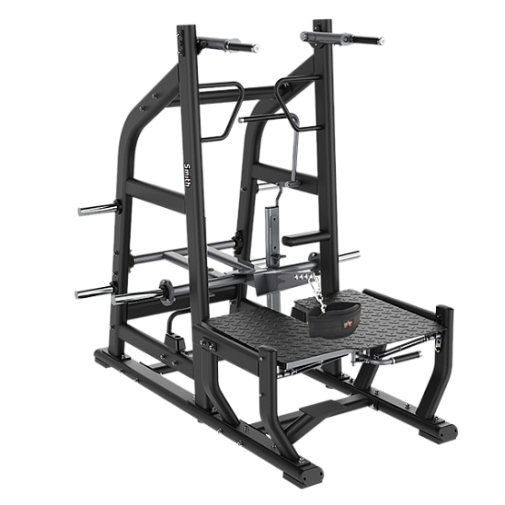 Приседания с поясом (колодец) Smith Fitness Excellence SH039