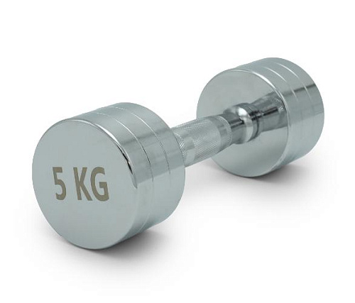 Купить Гантель круглая хромированная Unix Fit PRO 5 кг / шт. в Москве