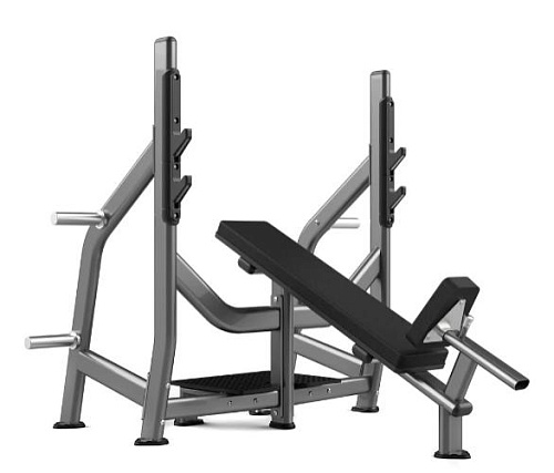 Купить Скамья для жима с положительным углом наклона Realleader FW-1002 в Москве