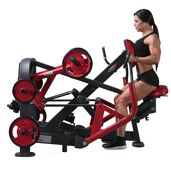 Нагружаемый дисками тренажер Panatta FreeWeight Special 1FW004 фото1