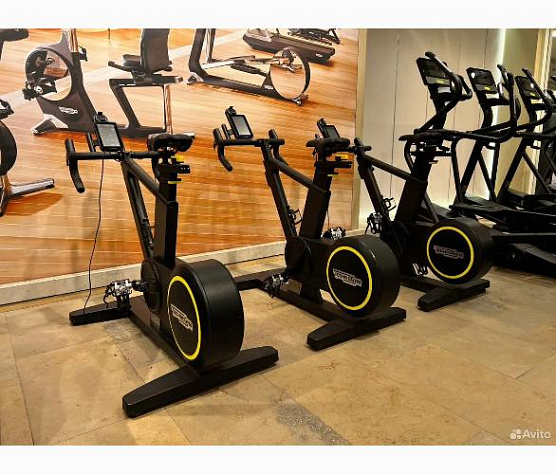 Technogym Skillbike small console