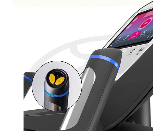 Лестница Oxide Fitness C3S (Climber)