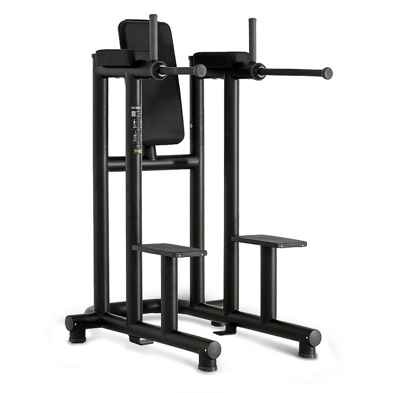 Technogym Leg Raise Dip — фото 1
