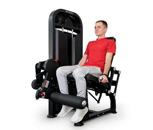 Разгибание ног сидя Realleader M2-1005