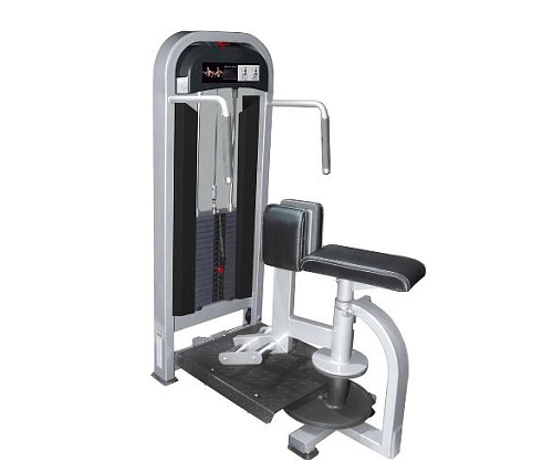 Торс-машина Realleader M2-1021 (косые мышцы живота)