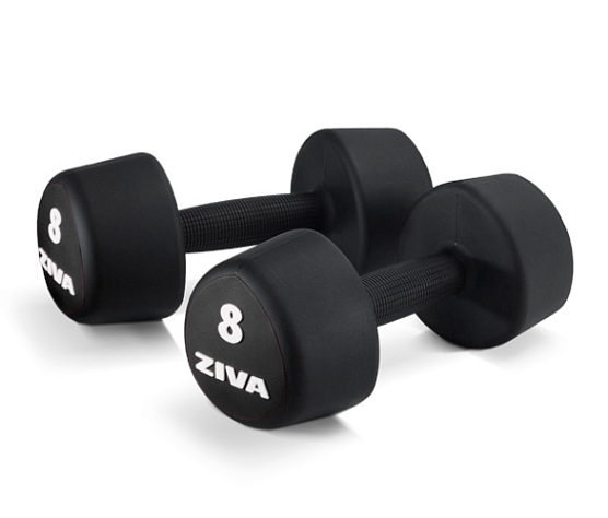 Набор уретановых гантелей Ziva ZVO-PUTF-3081 1–10 кг