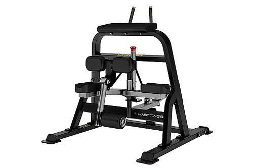 Сгибание ног стоя Hasttings Digger HD018-5 Купить Сгибание ног стоя Hasttings Digger HD018-5 в Москве