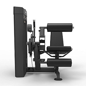 Купить Силовой тренажер Spirit Fitness Сгибание/разгибание ног сидя  SP-4605 в Москве