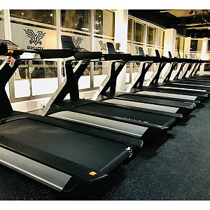 Купить Беговая дорожка Ultra Gym UG-POWER X Line в Москве