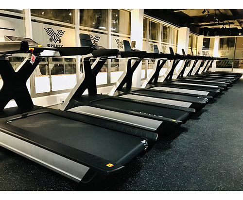 Беговая дорожка Ultra Gym UG-POWER X Line