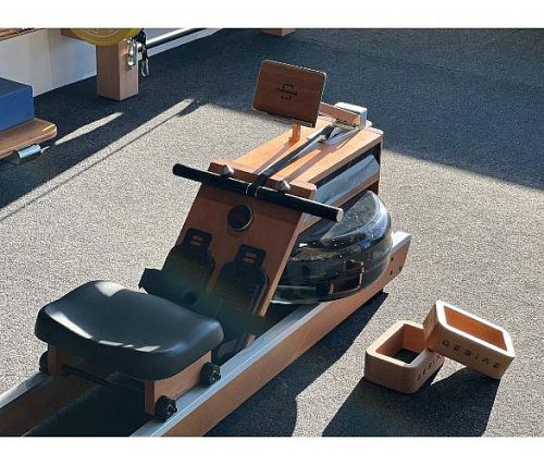 Гребной тренажер Desire Dual Power профессиональный