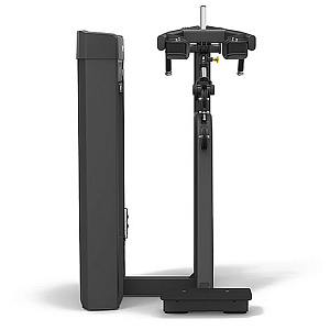 Купить Грузоблочный тренажер Spirit Fitness SP-4317 Голень стоя в Москве