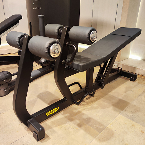 Скамья с отрицательным наклоном на пресс Technogym Pure Strength Adjustable Decline/Ab Crunch (витринный образец)