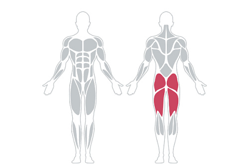 Сгибание ног сидя INTENZA DL-08
