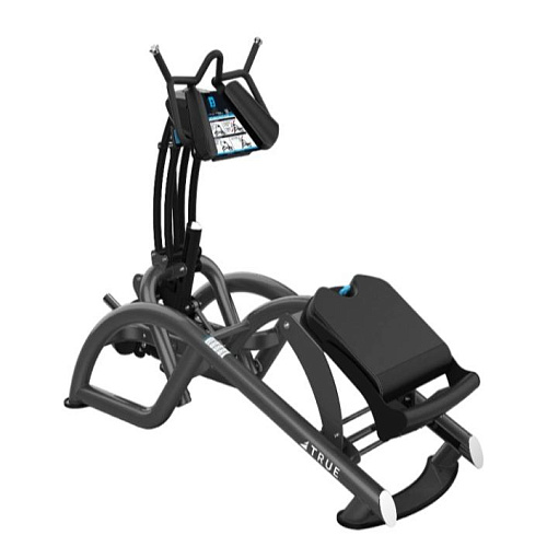 Скамья для пресса и спины True Fitness Composite SC1010