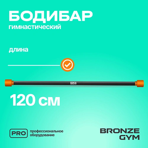 Гимнастическая палка бодибар Bronze Gym, 6 кг