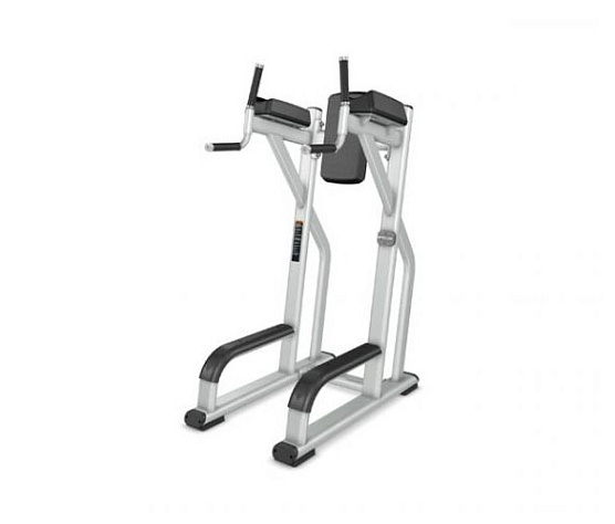 Пресс / Брусья Precor Discovery Line DBR 702