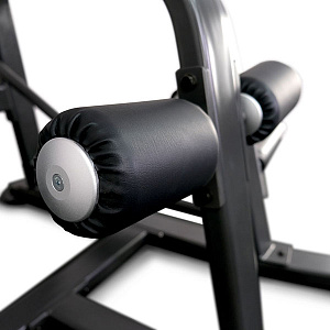 Купить Силовой тренажер Anyfit Вертикальная тяга на свободных весах T02 в Москве