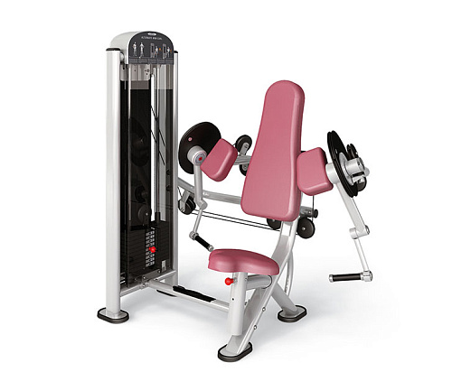 Бицепс (независимый) Panatta Fit Evo 1FE356 Купить Бицепс (независимый) Panatta Fit Evo 1FE356 в Москве