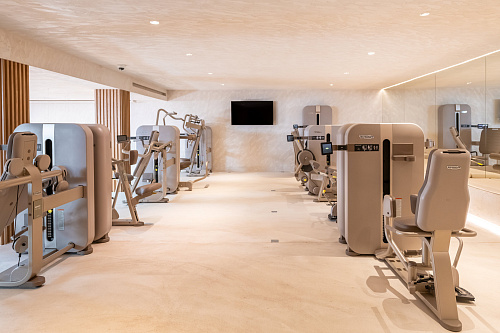 Лестница Technogym Artis Luxury Climb 