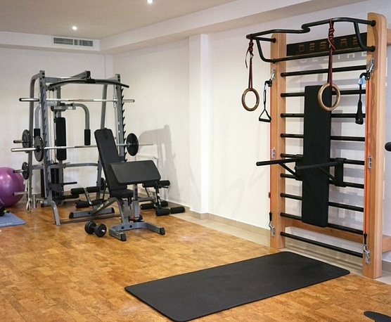 Шведская стенка с эспандерами, брусьями и скамьей Desire Eco Plus фото3