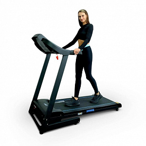 Купить Беговая дорожка Everyfit 74501B в Москве