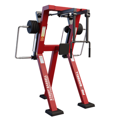 Разведение рук в положении стоя с изменяемой нагрузкой MB Barbell StreetBarbell MB 7.32E