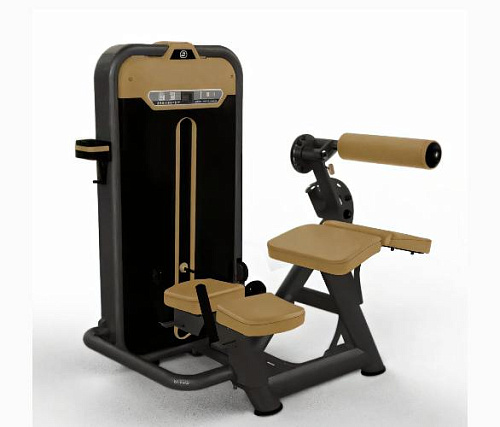 Купить Сгибание ног лежа Fiton BM-013A в Москве