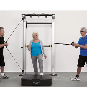 Купить Шведская стенка Technogym Omnia 3	 в Москве