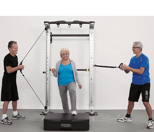 Шведская стенка Technogym Omnia 3