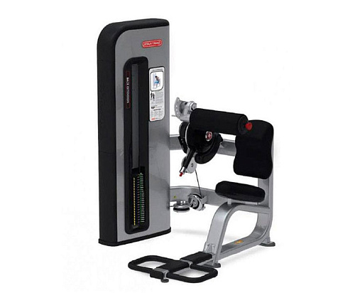 Купить Разгибание спины StarTrac IP-S3343 в Москве