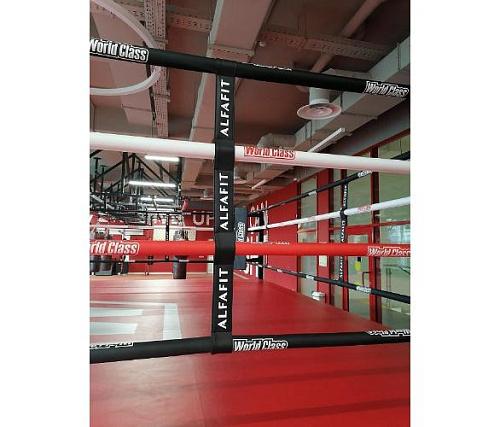 Ринг боксерский Targex на помосте 1 м 500х500х100