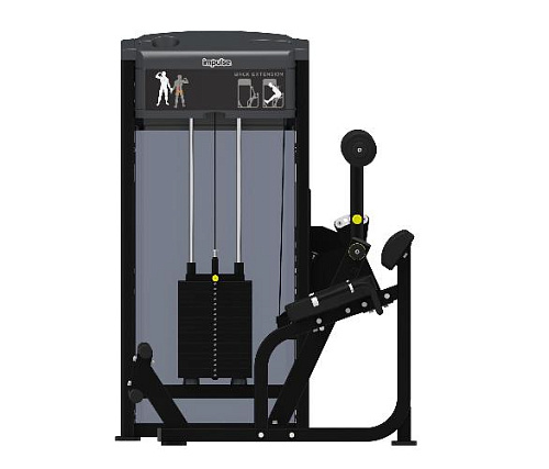 Разгибание спины Aerofit Impulse IF9332