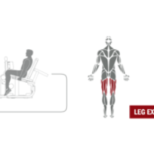 Купить Грузоблочный тренажер Spirit Fitness DWS141-U2 Сгибание/разгибание ног сидя в Москве