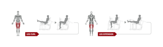 Сгибание / разгибание ног сидя Spirit Fitness DWS141-U2 фото4