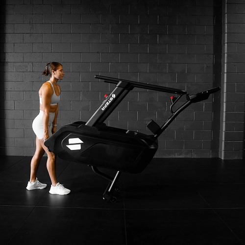 Степпер-лестница STEPR GO