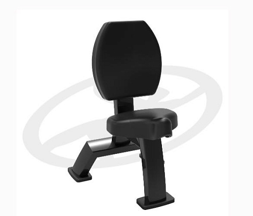 Купить Стул гантельный 90° Oxide Fitness F059 в Москве