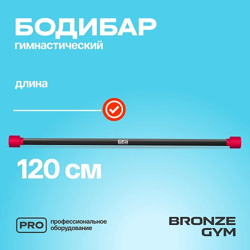 Гимнастическая палка бодибар Bronze Gym, 4 кг