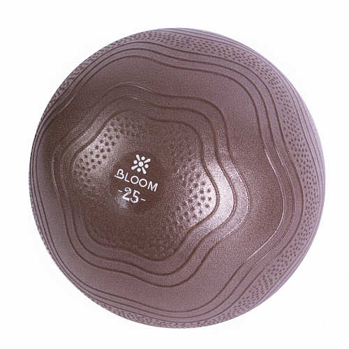 Купить Мяч для йоги Bloom LB7001/25/BN 25 см коричневый в Москве