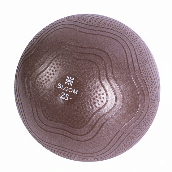 Мяч для йоги Bloom LB7001/25/BN 25 см коричневый