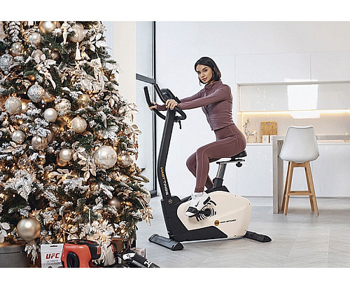 Велотренажер Hasttings SB400 SPIDER