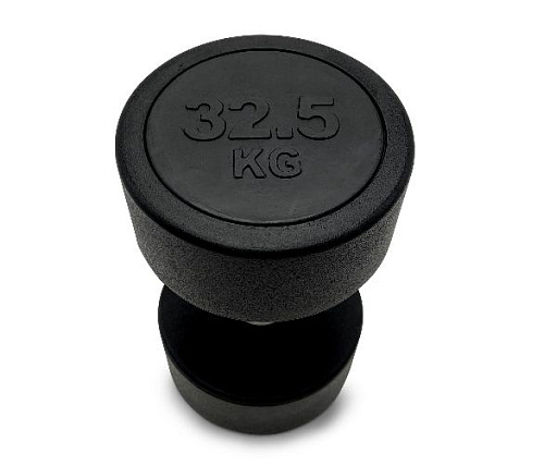 Гантель круглая обрезиненная Unix Fit PRO 32,5 кг / шт.