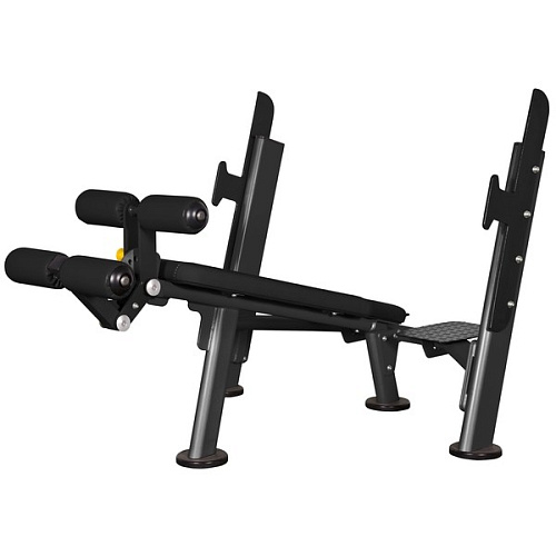 Купить Скамья для жима с отрицательным наклоном Spirit Fitness AFB103 в Москве