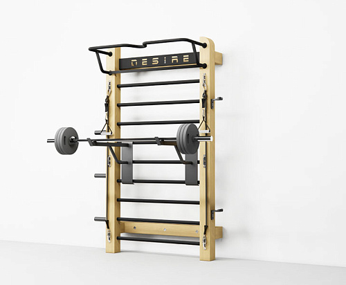 Комплект дополнительного оборудования для занятий со штангой Desire Power Set