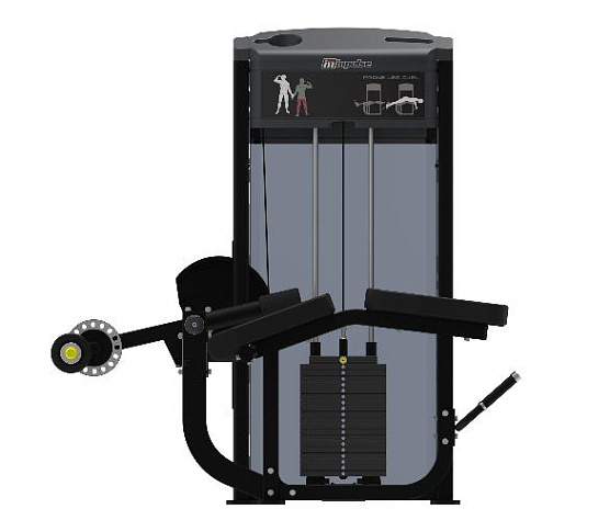 Сгибание ног лежа Aerofit Impulse IF9321 фото1