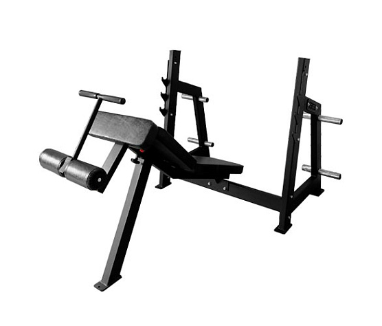 Bronze Gym AL-306