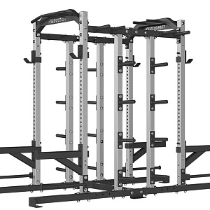 Купить Силовой тренажер Freemotion Fitness Двойная полустойка FMDY500016 в Москве
