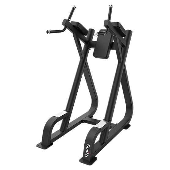 Поднятие коленей / Брусья Smith Fitness Excellence SR007