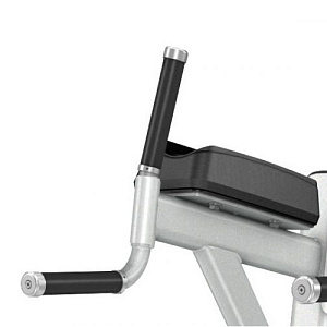 Купить Пресс / Брусья Precor Discovery Line DBR 702 в Москве