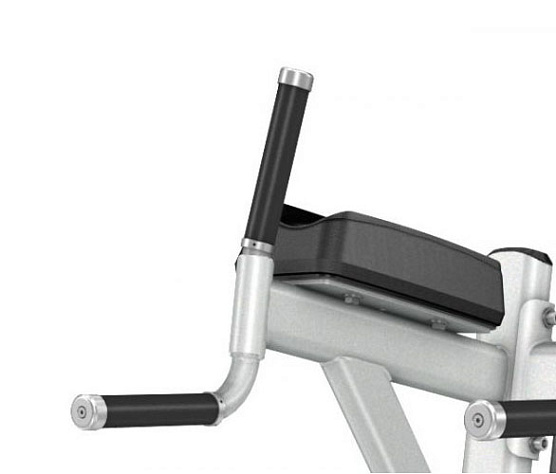 Пресс / Брусья Precor Discovery Line DBR 702 фото2